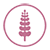 Lupine